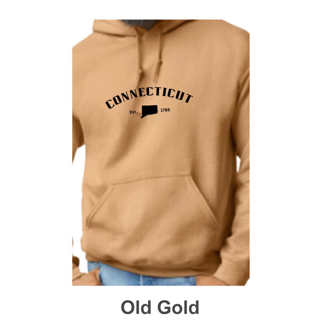 Connecticut Design on Adult Unisex Hoodie