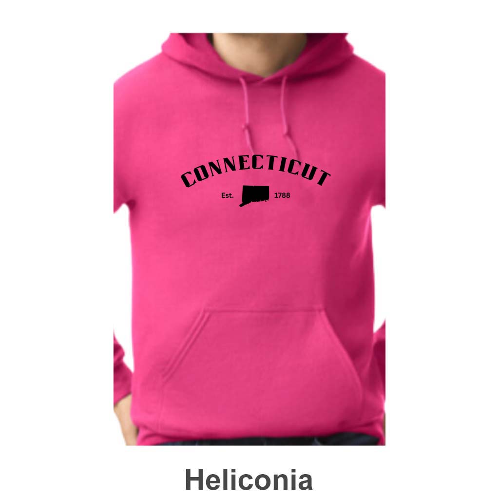 Connecticut Design on Adult Unisex Hoodie