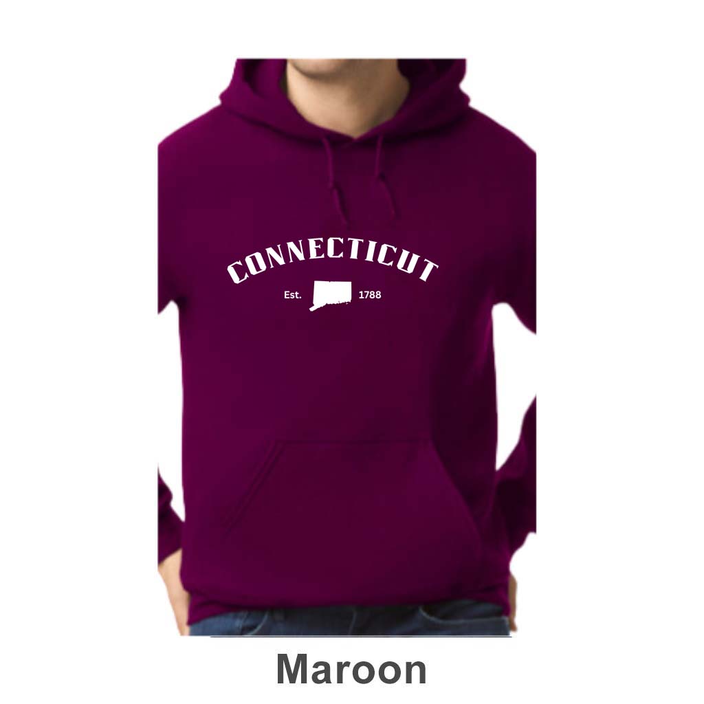 Connecticut Design on Adult Unisex Hoodie