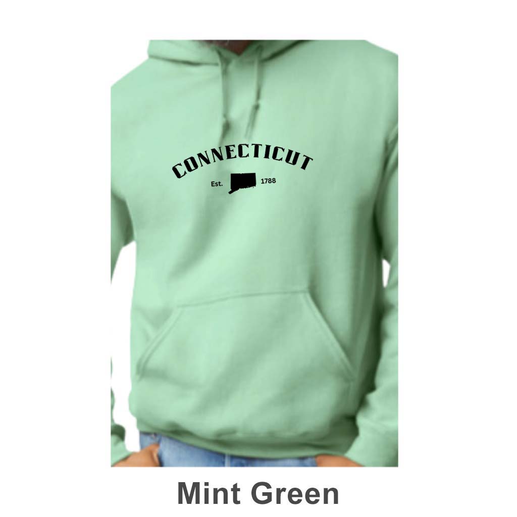 Connecticut Design on Adult Unisex Hoodie