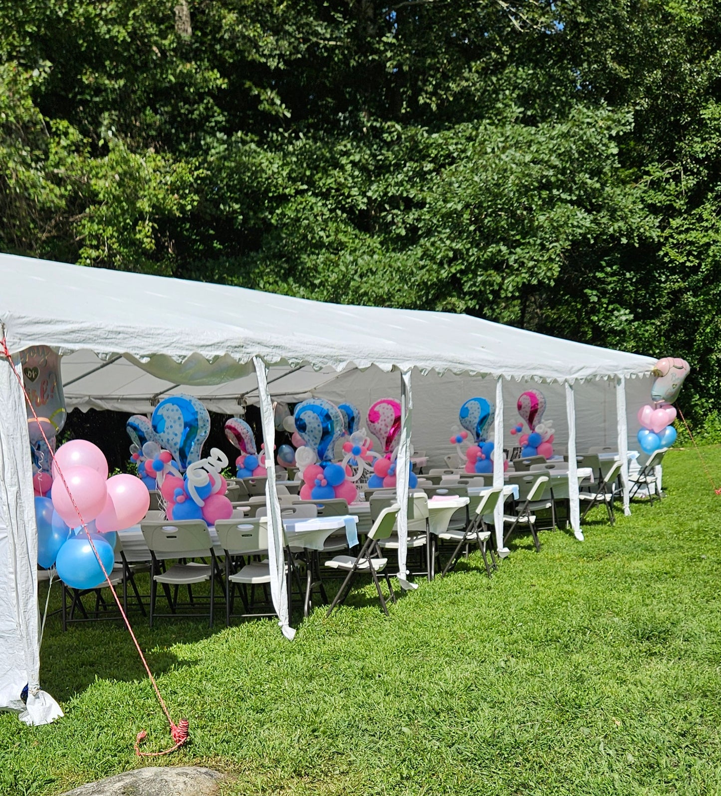 Special Order Gender Reveal Balloon Decor
