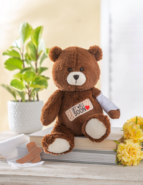 Get Well Cuddly Bear w/ Cast