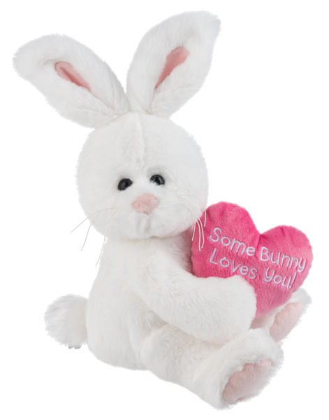 Some Bunny Loves You Plush