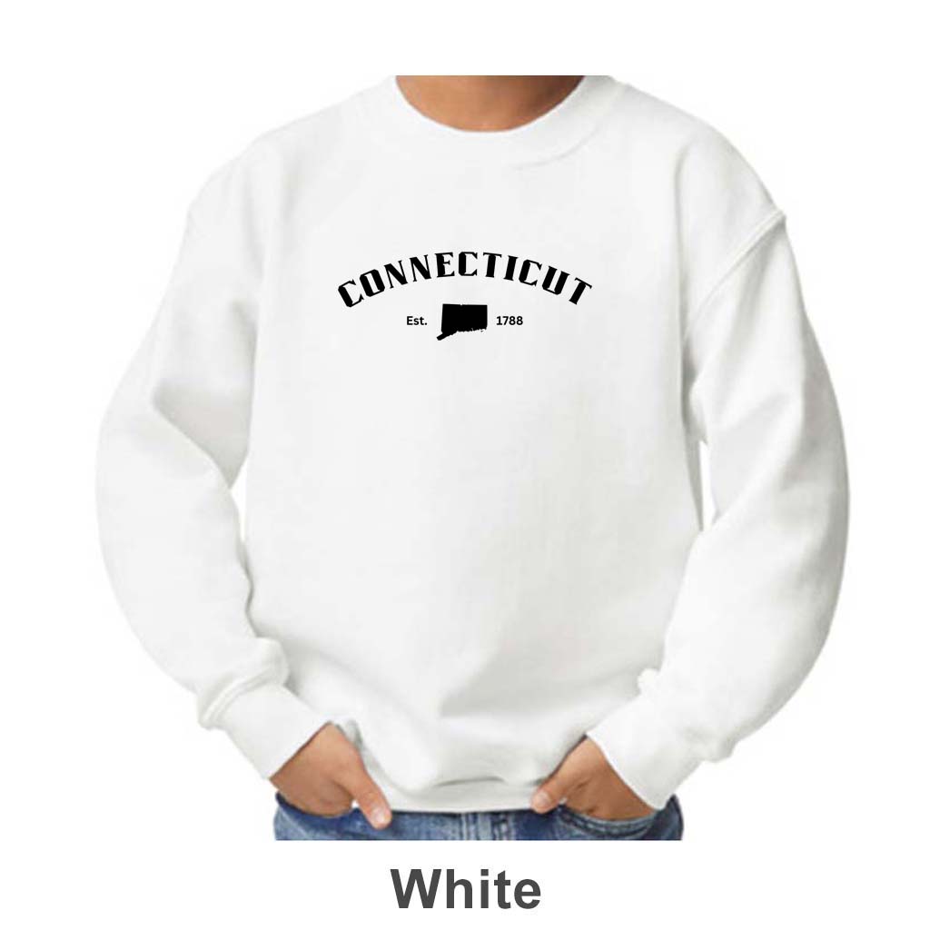 Connecticut Design on Youth Crewneck