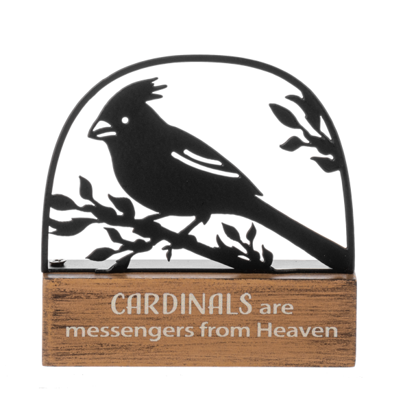 Block Talk Square – Cardinals Are Messengers from Heaven