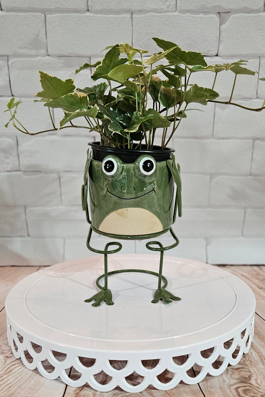 Planter - Frog "Little Friends"