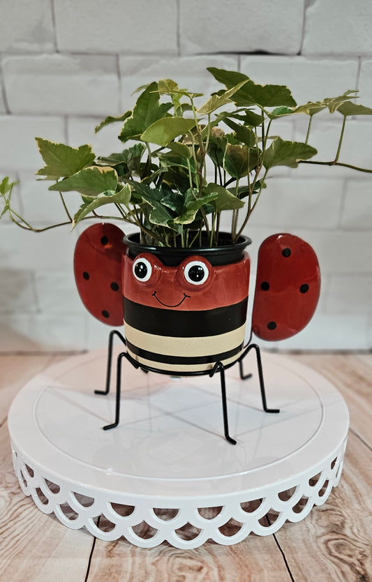 Planter - Ladybug "Little Friends"