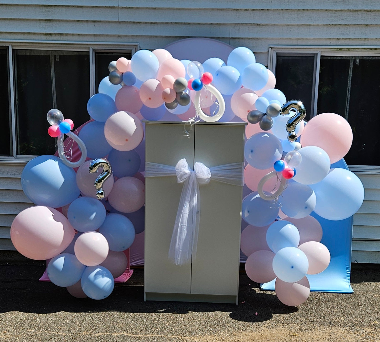 Special Order Gender Reveal Balloon Decor