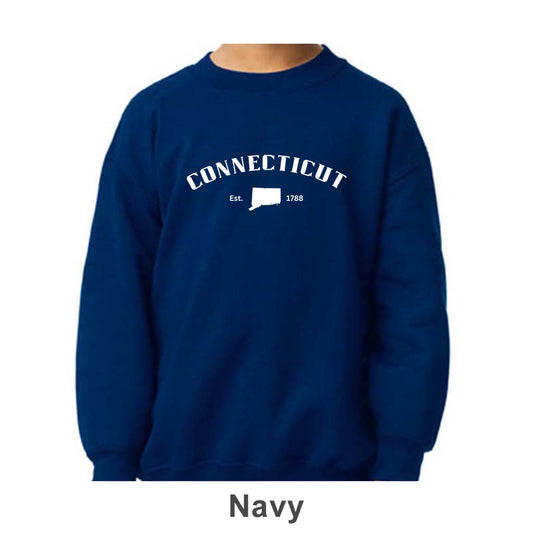 Connecticut Design on Youth Crewneck
