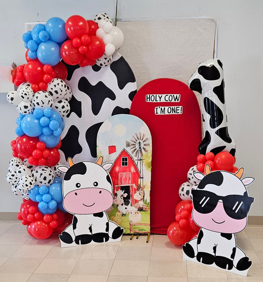 1st birthday balloon backdrop, baby's first birthday party decor
