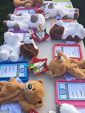 Individual Stuff-A-Pet Experiences